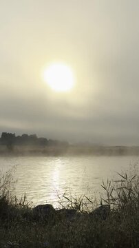 Whispers of the Dawn: Reeds & Hidden Islands