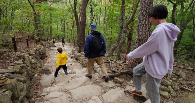 Family members leisurely walk along rocky stone path surrounded by green autumn foliage when boy suddenly slips and nearly falls on uneven surface. Tourists explore scenic hike through Seoraksan