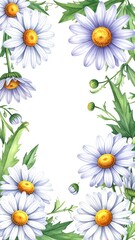 Close-up of blooming white and yellow daisies in garden. © tanpo