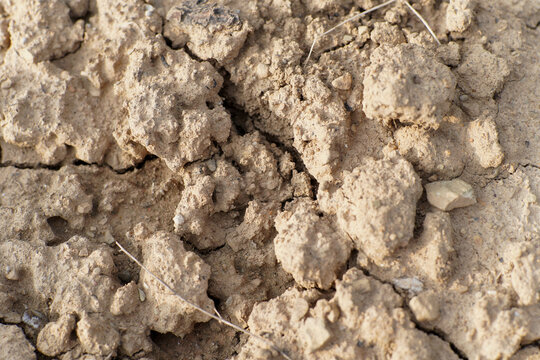 Close up View of Dry Cracked Earth with Small Stones and Clay Soil Texture