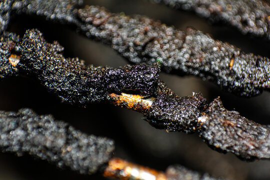Detailed View of Burnt, Textured Metal Rods Against a Dark Bokeh Background