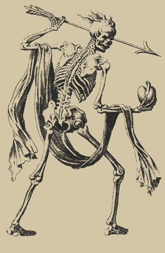 Skeleton holding spear and pomegranate in stipple engraving