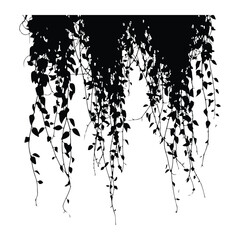 Obraz premium Silhouette of hanging vines with leaves on white background