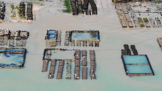 Aerial drone view of oyster beds exposed at low tide near Cancale, France, with geometric patterns across the tidal flats