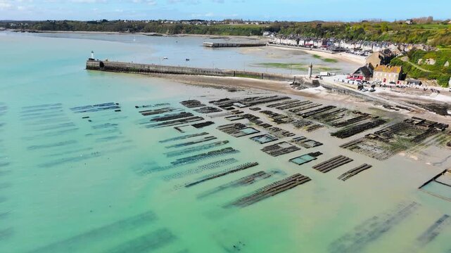 Drone footage of oyster beds at low tide in Cancale, Brittany, revealing shellfish cultivation plots on the exposed shore