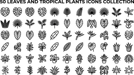 Tropical plants and exotic leaves line icons collection featuring monstera palm fern banana leaf outline vector botany symbols © MDSOHAG