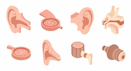 Illustrated collection of human ear and hearing aid icons. © agussssss