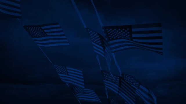 American Flags Outside At Night