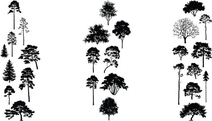 Black and white tree silhouettes against  isolated minimalist © SUMAIA