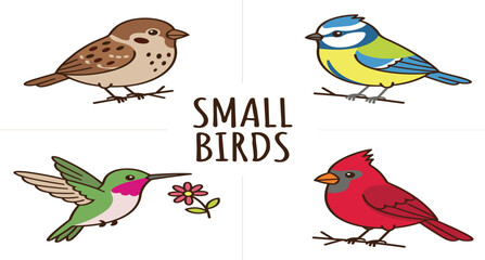 PrintCute cartoon small birds collection vector illustration featuring sparrow blue tit hummingbird and red cardinal isolated on white background © Mijanur