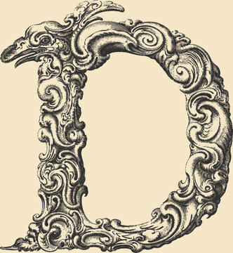 Ornate decorative letter D in stipple engraving style	