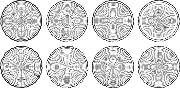 Set of wood log cross sections, tree rings texture