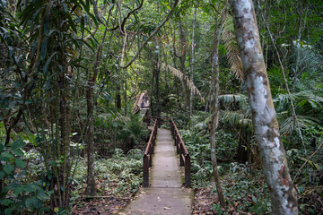 THAILAND NAKHON NAYOK KHAO YAI NATIONALPARK HAEW NAROK WATERFALL © flu4022