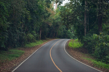 THAILAND NAKHON NAYOK KHAO YAI NATIONALPARK ROAD © flu4022