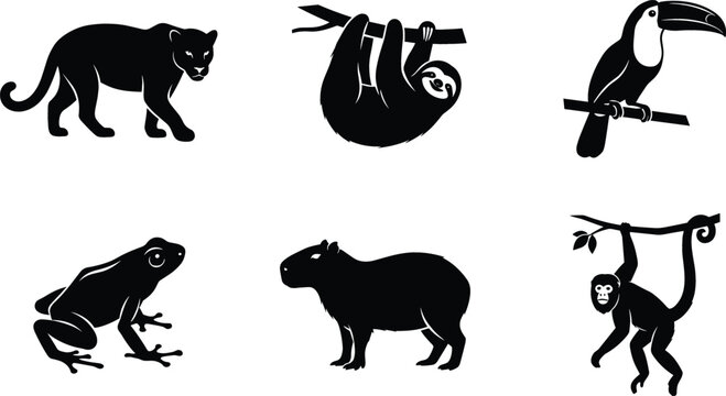 Black Silhouette Rainforest Animal Icon Set Featuring Jaguar Sloth Toucan Tree Frog Capybara and Hanging Monkey for Jungle Wildlife and Safari Designs