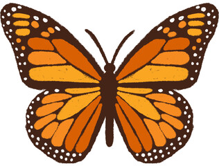 Fototapeta premium butterfly illustration png transparent