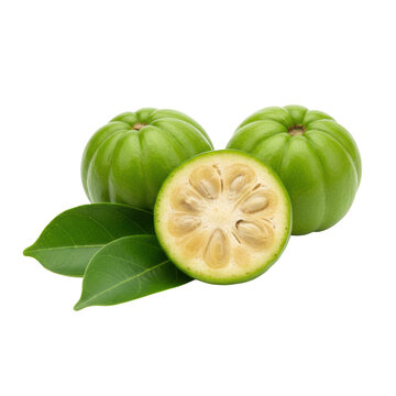 Three green garcinia cambogia fruits and waxy leaves on a white background with a sliced fruit revealing the yellow interior botanical freshness atmosphere