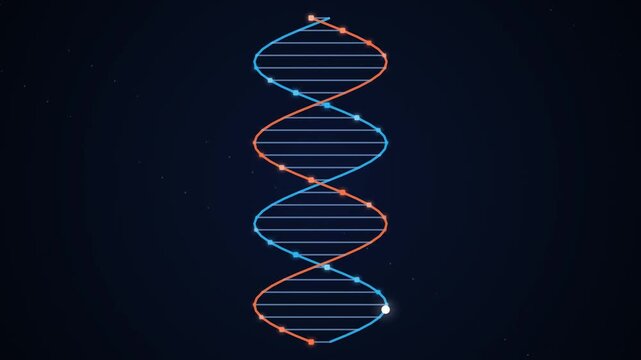 DNA helix data animation, glowing genetic code strand flat vector technology motion graphic