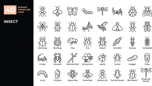 40 Insect and Bug Vector Line Icons Set: Editable Stroke Entomology, Nature, and Pest Control Illustrations