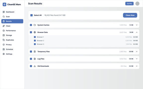 Junk File Scan Results Interface Showing Cache, Temporary Files, Browser Data and Storage Cleanup Management
