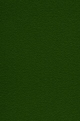 Fototapeta premium green leather texture