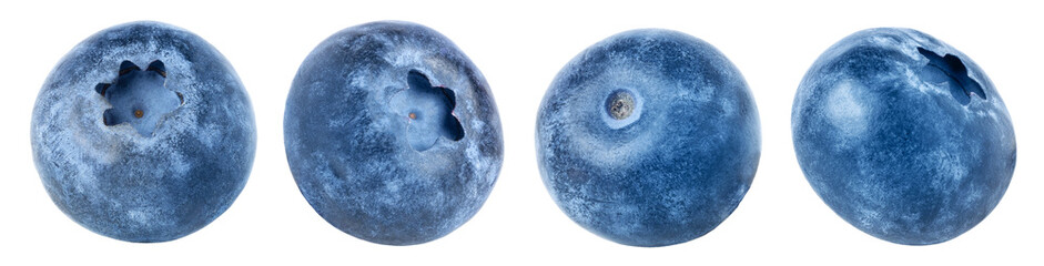 Fresh blue berries set isolated. Blueberry isolated. © Oleh