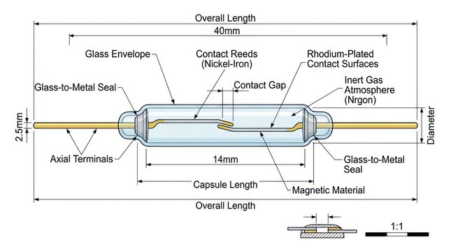 Diagram of a typical reed switch showing its internal components and various dimensions.