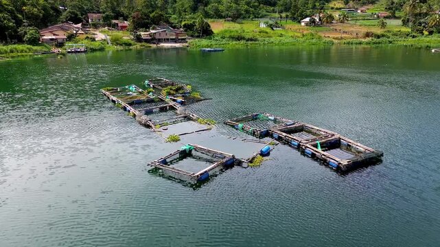 Freshwater aquaculture with floating fish cages producing food on a tropical volcanic lake in Indonesia, aerial