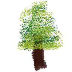 Fototapeta premium Hand‑drawn leafy tree illustration in soft brush‑stroke and paint texture, with varying shades of fresh green foliage and a sturdy brown trunk. Symbolizes growth, life, stability, abundance.