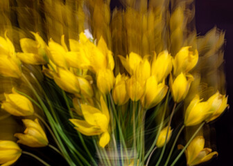 Obraz premium Artificially moved flower, blurred double lines, blurred flower texture, suitable for background