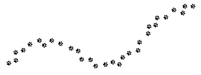 Black paw prints on white background forming a winding trail of animal footmarks moving upward  animal tracks on white background © Siddhartha