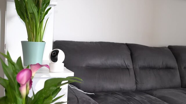 Indoor smart security camera installed in a stylish living room with houseplants