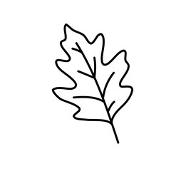 Fototapeta premium Hand drawn cute pin oak leaf icon doodle vector autumn forest line art