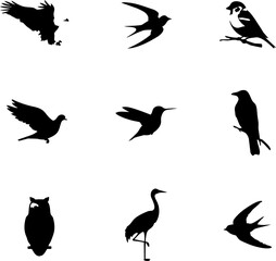 Fototapeta premium Collection of diverse avian silhouettes in flight and perched on branches against a bright expanse