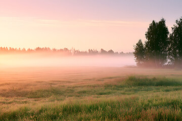 Fototapeta premium fuzzy morning in the countryside field at dawn. serene summer (spring) backdrop