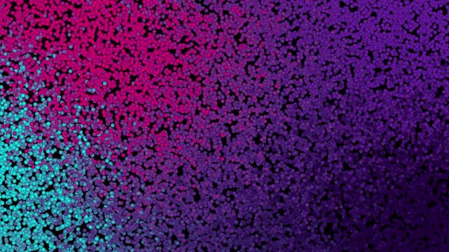 Neon ball action abstract particle grid with 4k animation loop motion graphics
