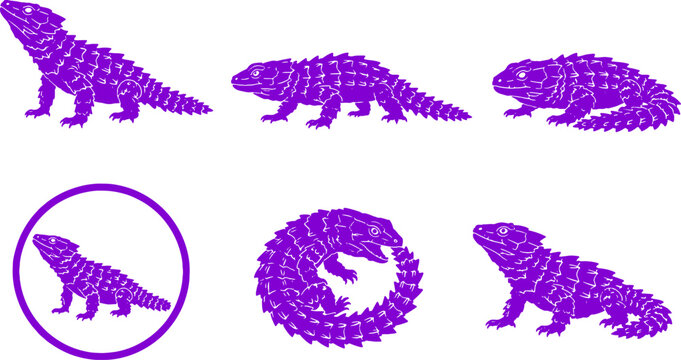 Armadillo Girdled Lizard Black Silhouette Icon Set Reptile Vector Collection