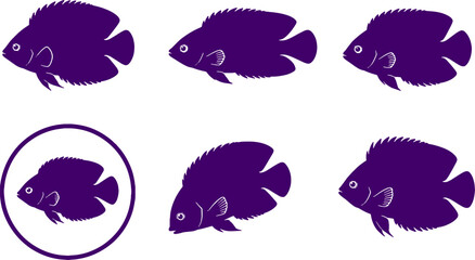 Fototapeta premium Flame Angelfish Silhouette Icon Set Black Vector Marine Fish Collection
