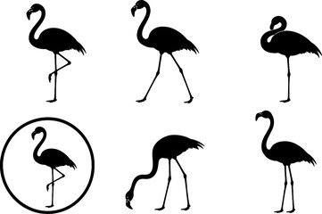 Obraz premium Flamingo Silhouette Icon Set Black Vector Wading Bird Collection