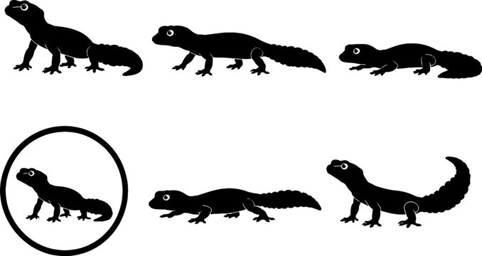 Leopard Gecko Silhouette Icon Set Black Vector
