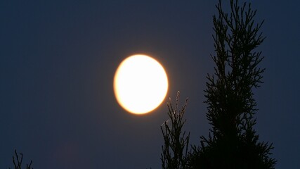 moon © Adam