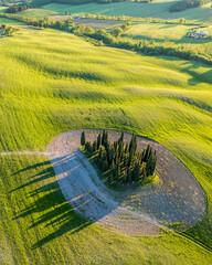 Obraz premium The Val d Orcia landscape in Tuscany of Italy