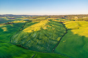 Obraz premium The Val d Orcia landscape in Tuscany of Italy