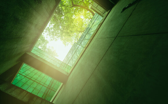 Eco-friendly building in the modern city. Sustainable glass office building with tree for reducing heat and carbon dioxide. Office building with green environment. Corporate building reduce CO2.