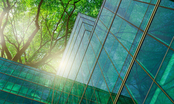 Sustainble green building. Eco-friendly building in modern city. Sustainable glass office building with tree for reducing carbon dioxide. Office with green environment. Corporate building reduce CO2.