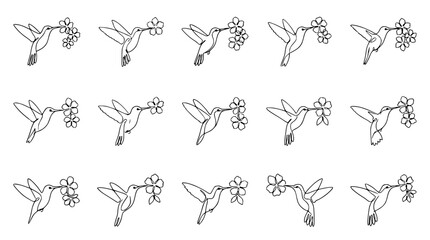 Hummingbird Collection: Delicate Line Art of Birds Feeding on Flowers © Akun