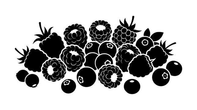 Mixed Berries Silhouette Vector Illustration of Raspberries and Blueberries