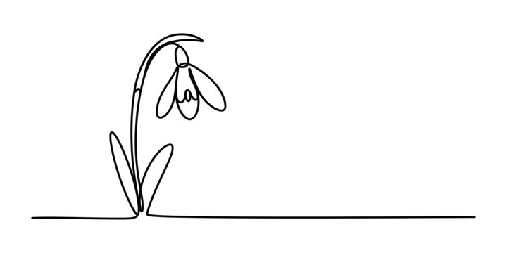 Continuous single line drawing of a snowdrop flower