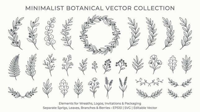 Minimalist Botanical Vector Collection, Floral Elements, Leaf Illustrations, Black and White Clipart