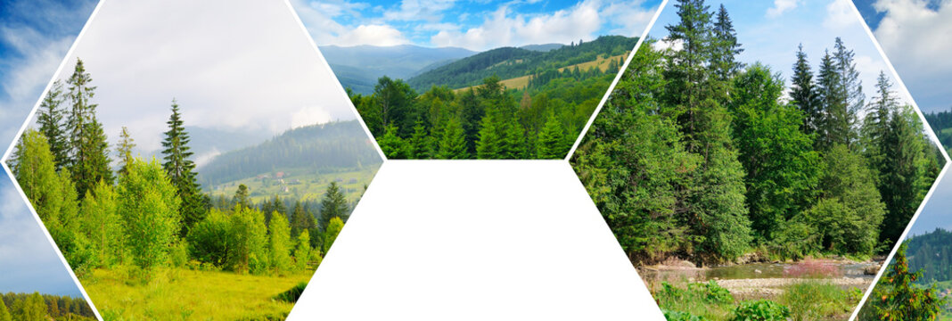 Mountain Forest Landscape Photo Collage in Hexagonal Frames Beautiful Summer Nature Collage with Coniferous Trees and Hills
